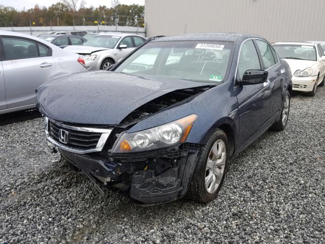 5KBCP3F81AB017725 - 2010 HONDA ACCORD EXL BLUE photo 2