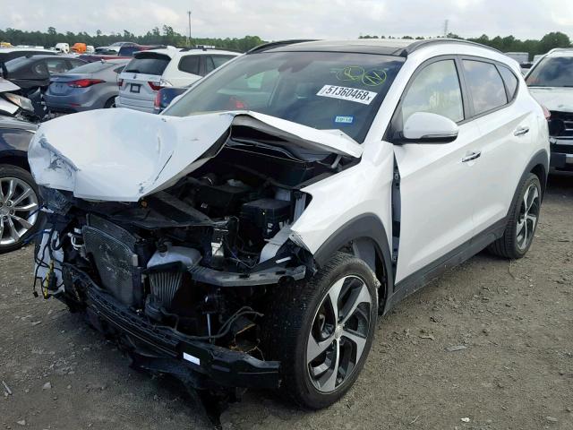 KM8J33A26GU056987 - 2016 HYUNDAI TUCSON LIM WHITE photo 2