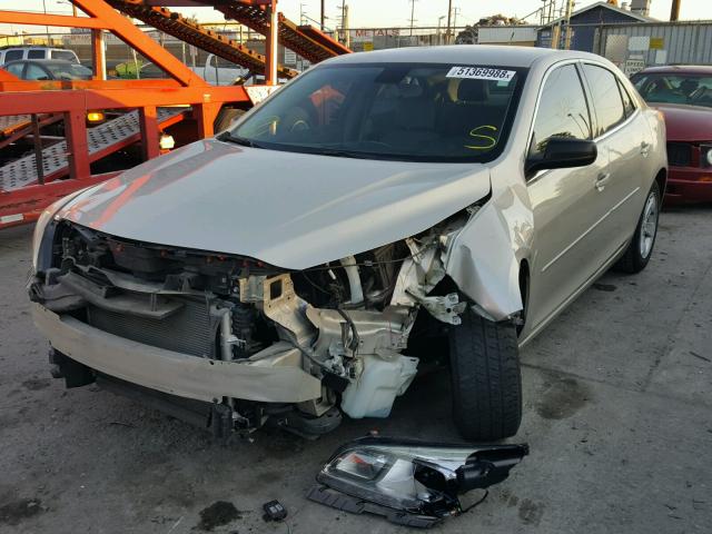 1G11B5SL7EF240825 - 2014 CHEVROLET MALIBU LS 金色 照片 2