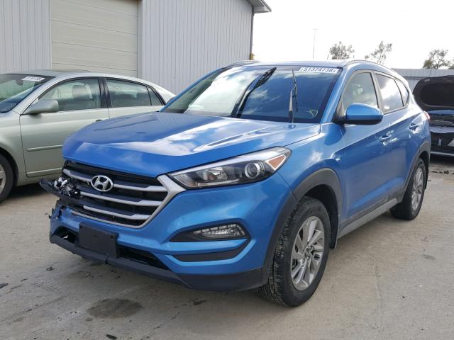 KM8J3CA44HU350004 - 2017 HYUNDAI TUCSON LIM BLUE photo 2