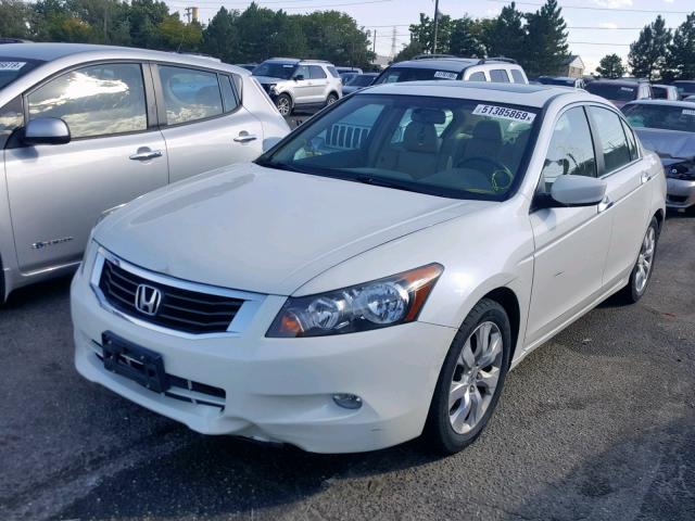 1HGCP36879A045369 - 2009 HONDA ACCORD EXL WHITE photo 2