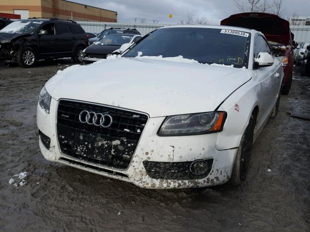 WAUDK78T59A016878 - 2009 AUDI A5 QUATTRO WHITE photo 2