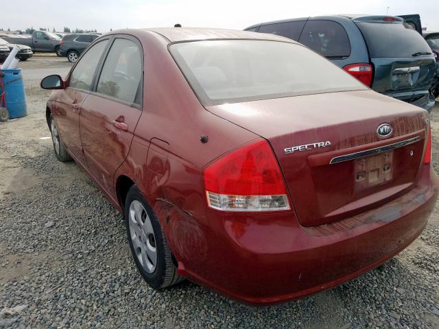 KNAFE122975453320 - 2007 KIA SPECTRA EX RED photo 3