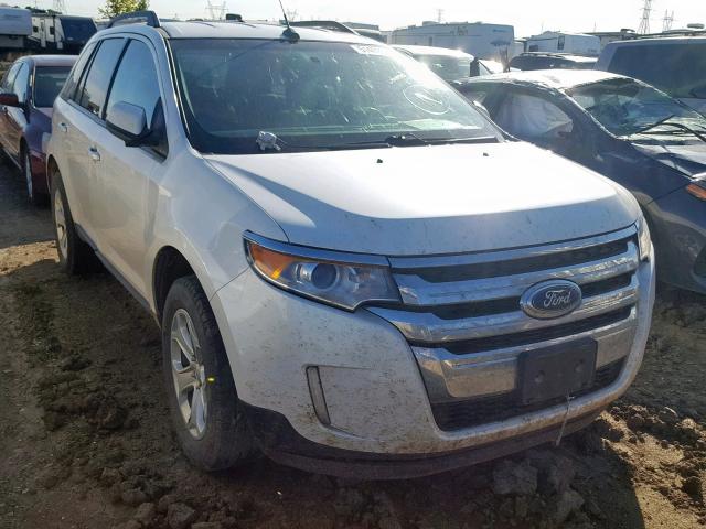 2FMDK4JC8EBB30489 - 2014 FORD EDGE SEL WHITE photo 1