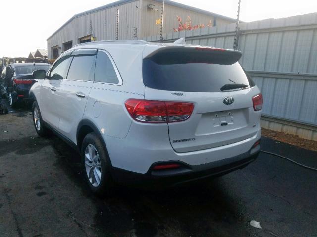 5XYPG4A36HG257843 - 2017 KIA SORENTO LX WHITE photo 3