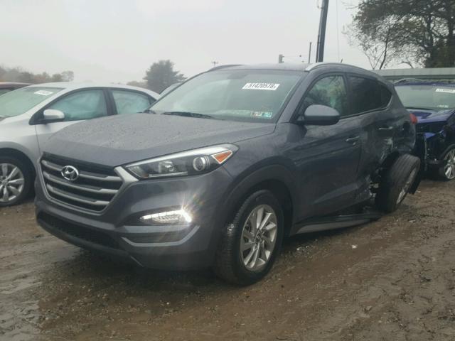 KM8J3CA44HU445355 - 2017 HYUNDAI TUCSON LIM GRAY photo 2