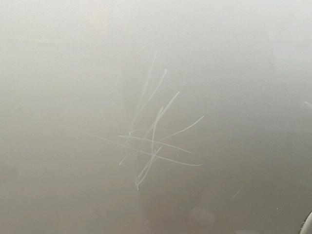 1GNDV23L65D238785 - 2005 CHEVROLET UPLANDER L 金色 照片 9