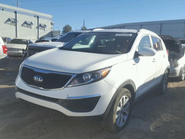 KNDPBCAC6G7812553 - 2016 KIA SPORTAGE L WHITE photo 2