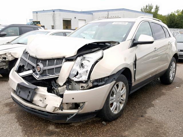 3GYFNAEYXAS594049 - 2010 CADILLAC SRX LUXURY TAN photo 2