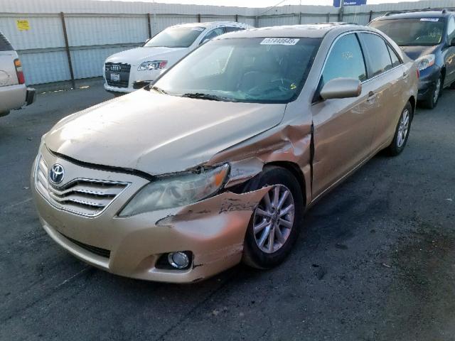 4T1BF3EK2AU548445 - 2010 TOYOTA CAMRY BASE GOLD photo 2