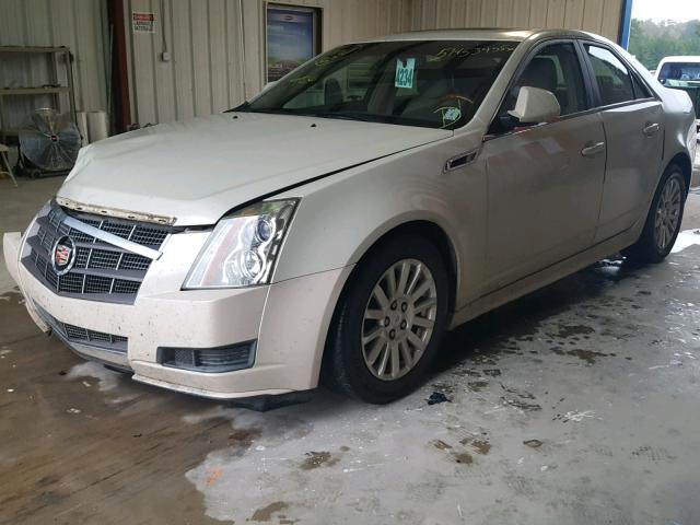 1G6DE5EY4B0102406 - 2011 CADILLAC CTS LUXURY GOLD photo 2