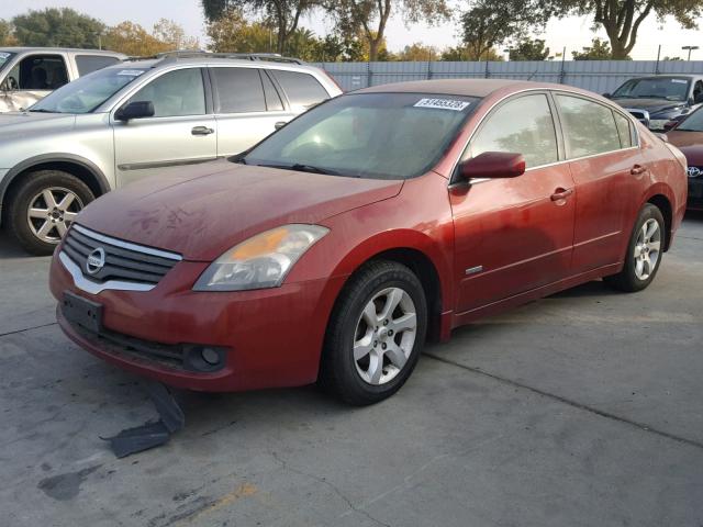 1N4CL21E38C249743 - 2008 NISSAN ALTIMA HYB RED photo 2