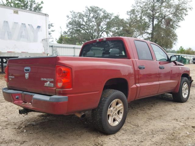 1D7RE3GP7BS656030 - 2011 DODGE DAKOTA SLT BURGUNDY photo 4