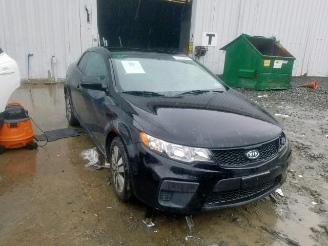 KNAFU6A23D5674229 - 2013 KIA FORTE EX BLACK photo 1