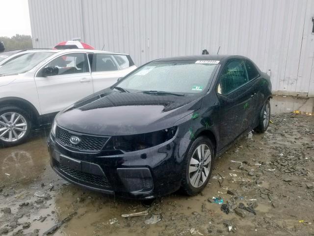 KNAFU6A23D5674229 - 2013 KIA FORTE EX BLACK photo 2