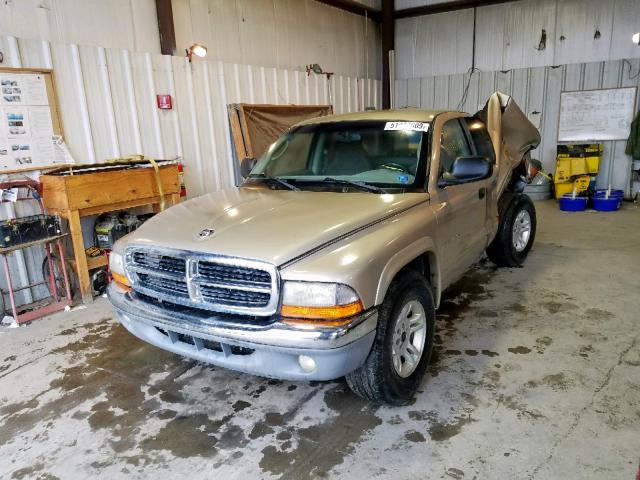 1B7GL42N92S625140 - 2002 DODGE DAKOTA SLT GOLD photo 2