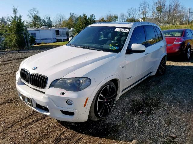 5UXFE83559L309149 - 2009 BMW X5 XDRIVE4 WHITE photo 2