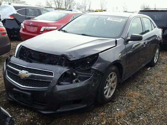 1G11A5SAXDF316456 - 2013 CHEVROLET MALIBU LS Boz foto 2