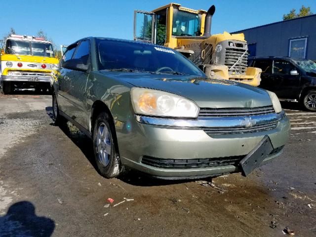 1G1ZT52804F222340 - 2004 CHEVROLET MALIBU LS GREEN photo 1