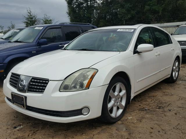 1N4BA41E04C881431 - 2004 NISSAN MAXIMA SE WHITE photo 2