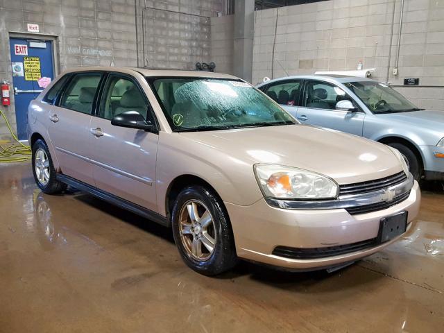 1G1ZT64844F248488 - 2004 CHEVROLET MALIBU MAX 金色 照片 1
