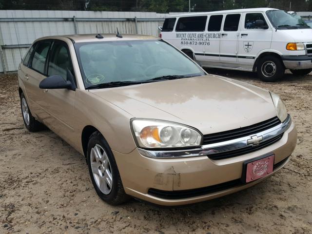 1G1ZT64825F128660 - 2005 CHEVROLET MALIBU MAX ოქროსფერი ფოტო 1