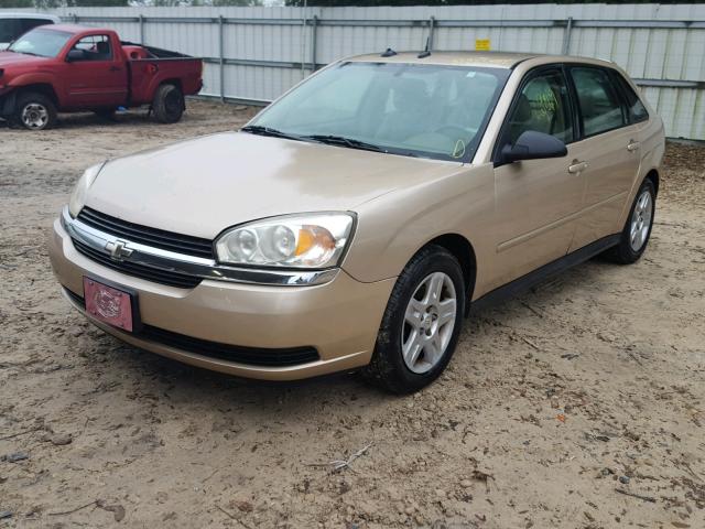 1G1ZT64825F128660 - 2005 CHEVROLET MALIBU MAX ოქროსფერი ფოტო 2