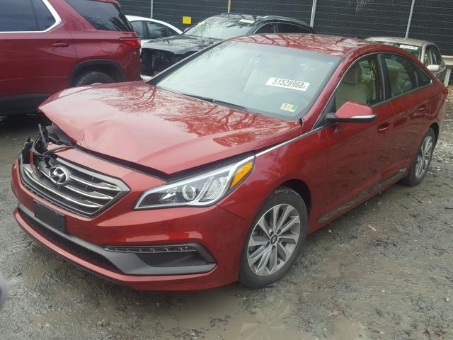 5NPE34AF6FH122624 - 2015 HYUNDAI SONATA SPO RED photo 2