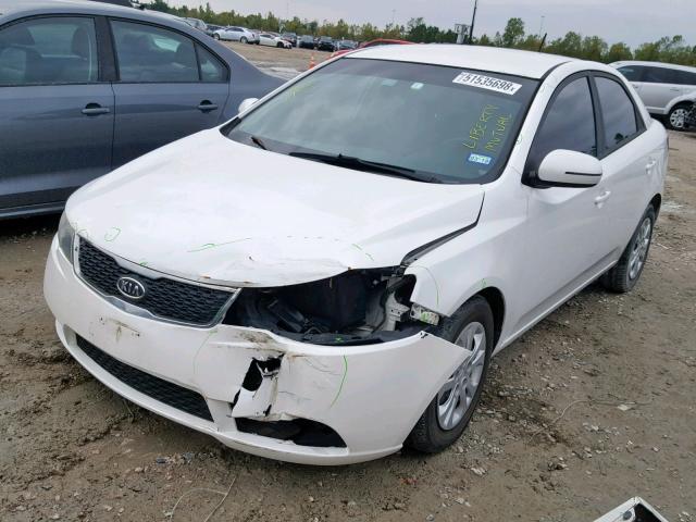 KNAFU4A24B5357139 - 2011 KIA FORTE EX WHITE photo 2