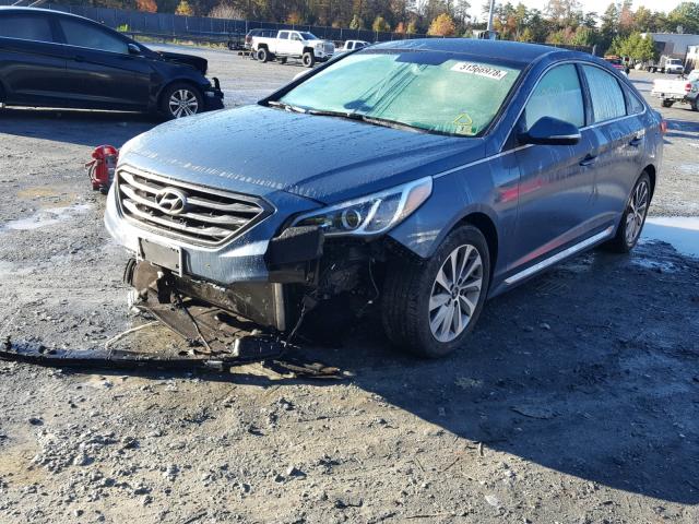 5NPE34AF2GH389566 - 2016 HYUNDAI SONATA SPO BLUE photo 2