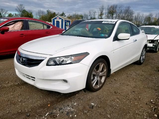 1HGCS2B88BA001840 - 2011 HONDA ACCORD EXL WHITE photo 2