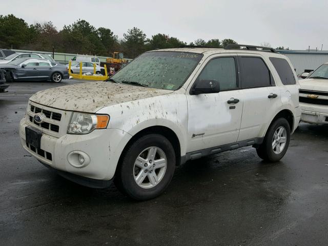 1FMCU5K39AKD27939 - 2010 FORD ESCAPE HYB WHITE photo 2