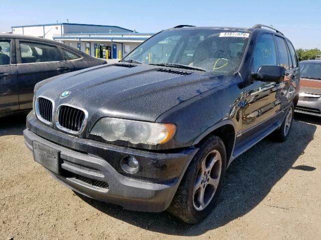 5UXFA53513LV80257 - 2003 BMW X5 3.0I BLACK photo 2