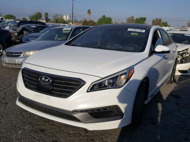 5NPE34AB9FH257058 - 2015 HYUNDAI SONATA SPO WHITE photo 2