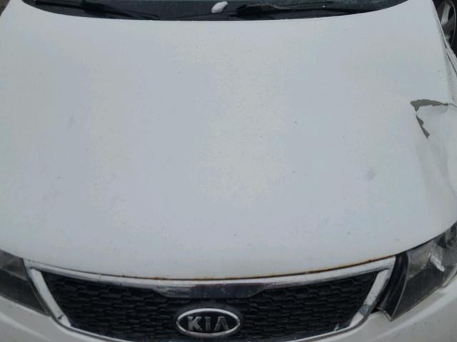 KNAFU4A25C5472348 - 2012 KIA FORTE EX WHITE photo 7