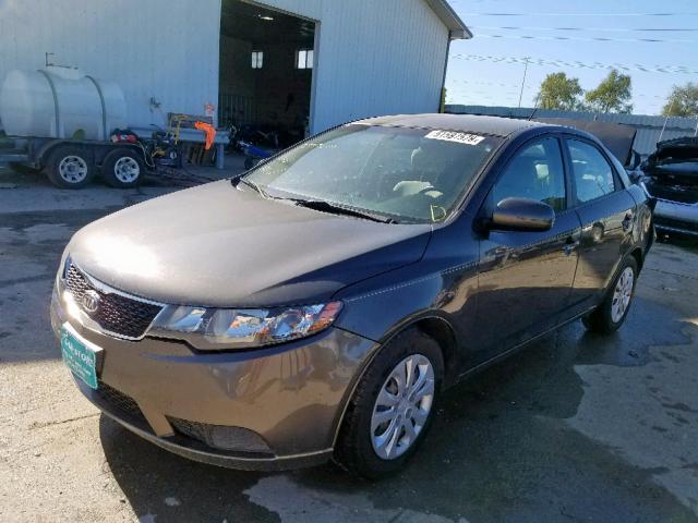 KNAFU4A21B5435232 - 2011 KIA FORTE EX GRAY photo 2