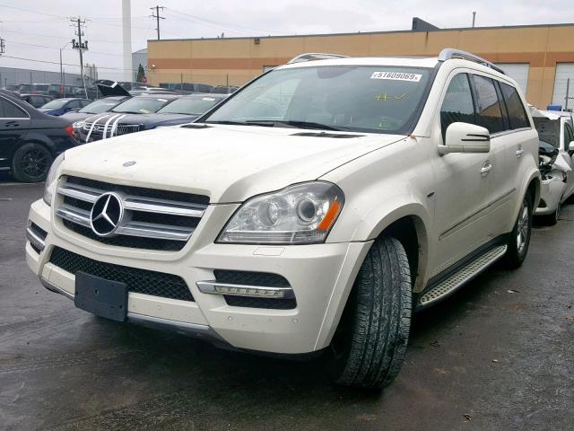 4JGBF2FEXCA766575 - 2012 MERCEDES-BENZ GL 350 BLU WHITE photo 2