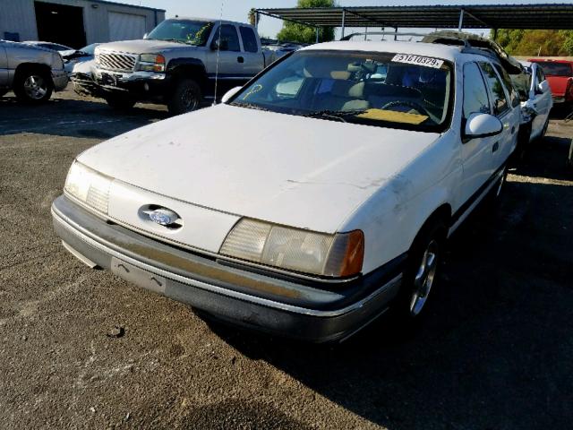 1FABP55UXKG250293 - 1989 FORD TAURUS L WHITE photo 2