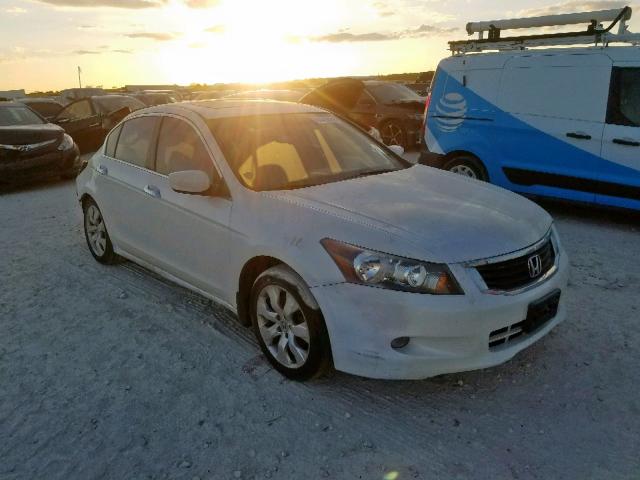 5KBCP3F82AB018124 - 2010 HONDA ACCORD EXL WHITE photo 1