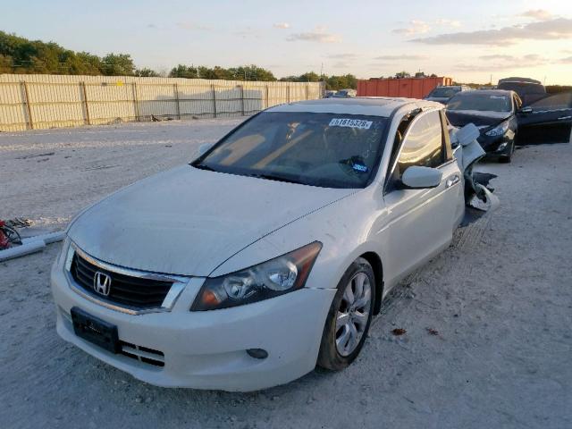 5KBCP3F82AB018124 - 2010 HONDA ACCORD EXL WHITE photo 2