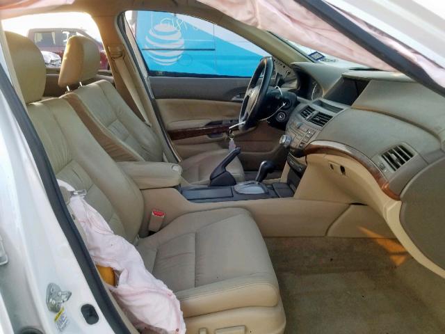 5KBCP3F82AB018124 - 2010 HONDA ACCORD EXL WHITE photo 5