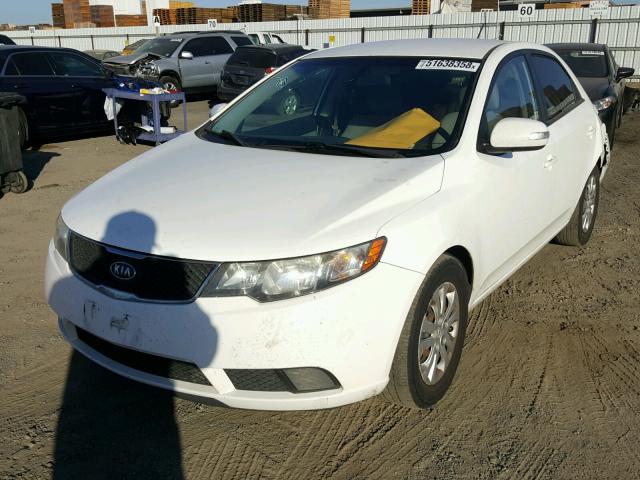 KNAFU4A29A5112898 - 2010 KIA FORTE EX WHITE photo 2