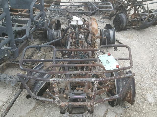 1HFTE294X74301139 - 2007 HONDA TRX400 FGA BURN photo 9