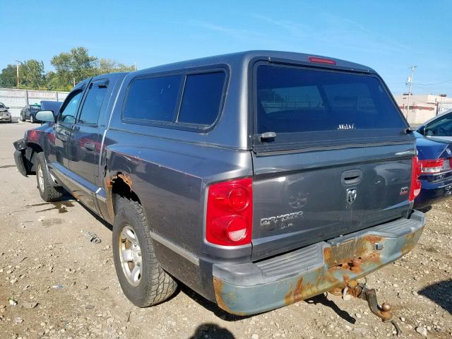 1D7HE28N95S122485 - 2005 DODGE DAKOTA QUA GRAY photo 3