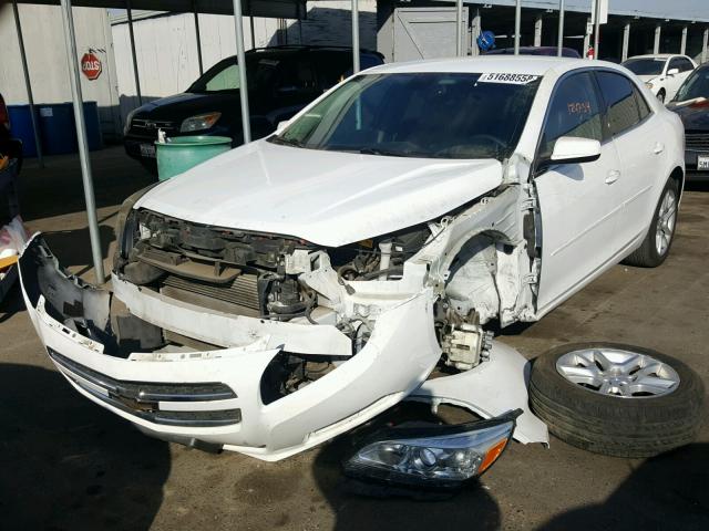 1G11D5SR8DF206860 - 2013 CHEVROLET MALIBU 1LT 白色 照片 2