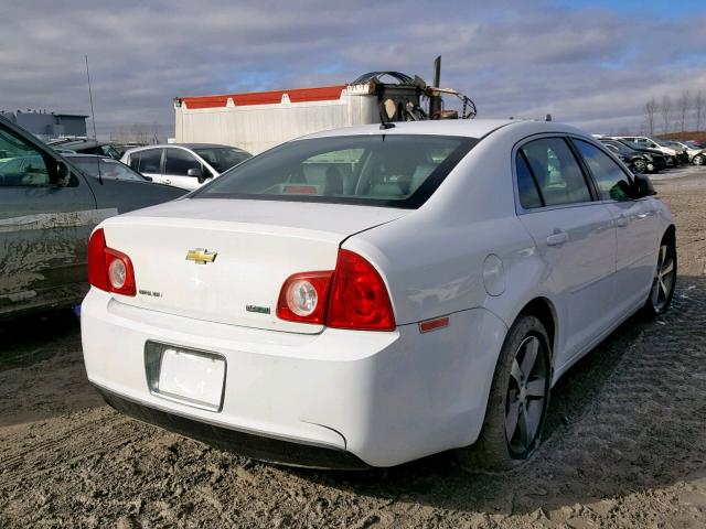 1G1ZB5EUXBF251207 - 2011 CHEVROLET MALIBU LS Ağ foto 4