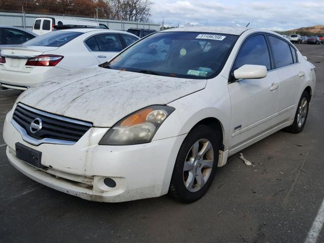 1N4CL21E87C223217 - 2007 NISSAN ALTIMA HYB WHITE photo 2