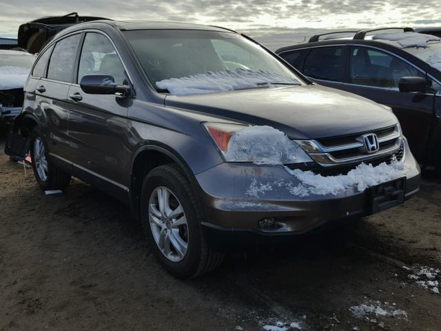 5J6RE4H76AL014948 - 2010 HONDA CR-V EXL BROWN photo 1