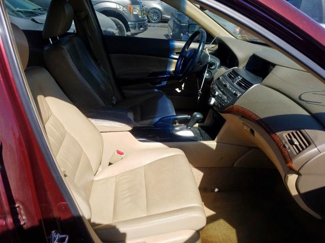 1HGCP26829A007476 - 2009 HONDA ACCORD EXL BURGUNDY photo 5