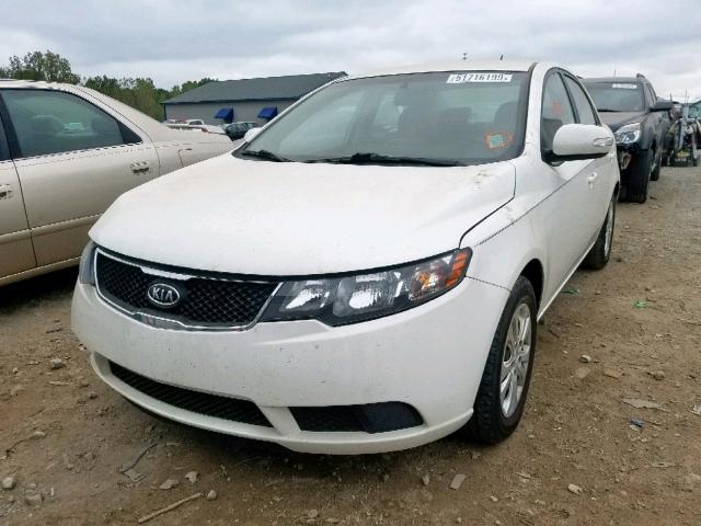 KNAFU4A28A5808815 - 2010 KIA FORTE EX WHITE photo 2